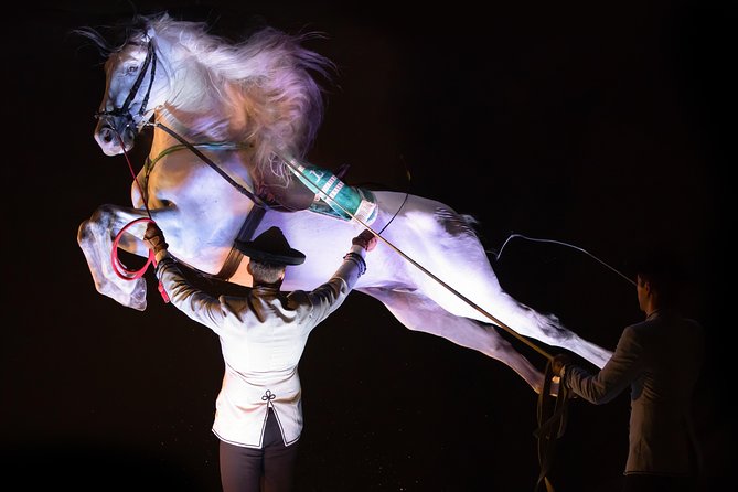 Horse and Flamenco Show in Malaga - Seating, sound, and how to make the most of your view