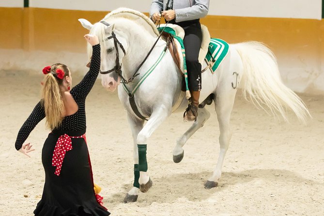 Horse and Flamenco Show in Malaga - Animal-care concerns, the balanced way to think about them
