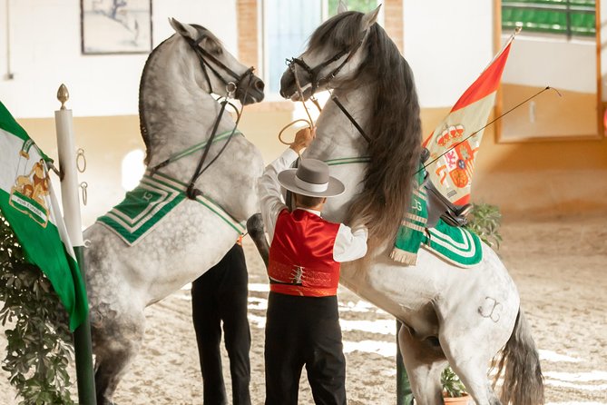 Horse and Flamenco Show in Malaga - The pre-show stables walk, what you’ll see and what it means