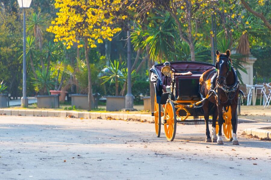 Horse-Drawn Carriage Ride Through Seville - Why a horse-drawn carriage is the smartest way to enjoy Seville’s highlights