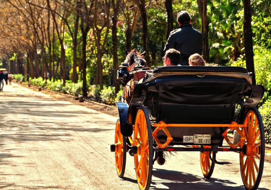 Horse-Drawn Carriage Ride Through Seville - Meeting at Colors of Seville and settling in for the ride