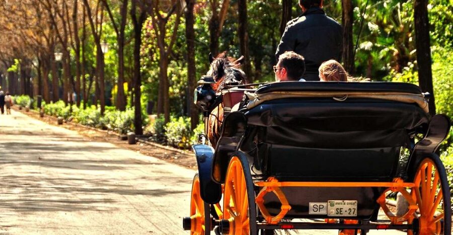 Horse-Drawn Carriage Ride Through Seville - Comfort, heat, and animal-welfare reality checks