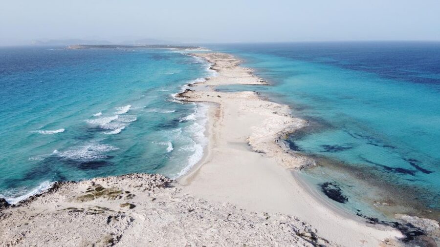 Ibiza: Platja d'en Bossa Round-Trip Transfer to Formentera - On-board comfort: bars, toilets, and not pretending you’re a statue