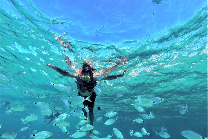 Ibiza Sunset Snorkeling Beach and Cave Tour - The crew makes the trip feel easy, led by captains and hosts