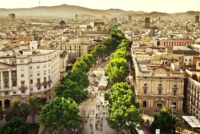 Interactive Paella & Market: Bottomless Wine & Rambla Views - Key highlights before you go