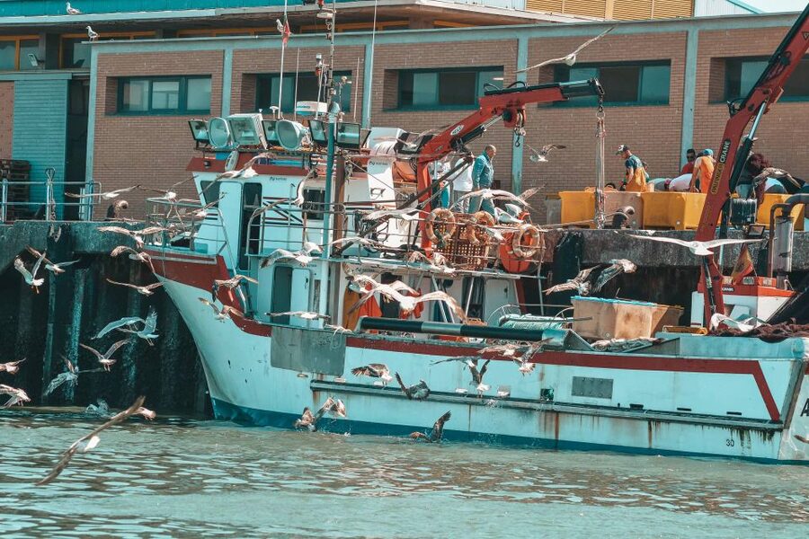 Isla Cristina/Isla Canela: Boat Trip Through the Marshes - Entering the working port of Isla Cristina
