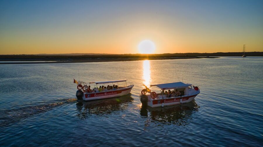 Isla Cristina/Isla Canela: Boat Trip Through the Marshes - Comfort, accessibility, and who should book