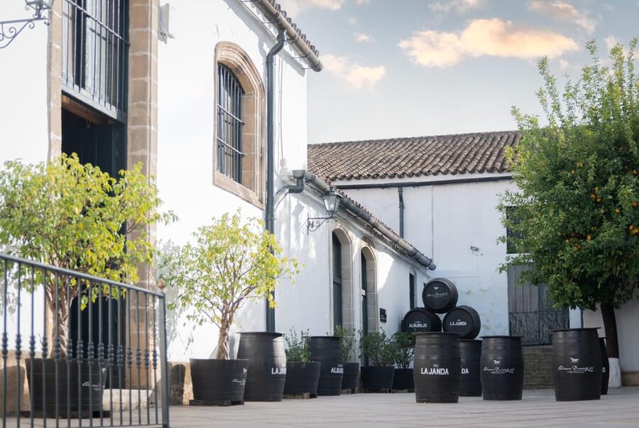 Jerez: Bodegas Álvaro Domecq Guided Tour with Wine Tasting - Key things to know before you go
