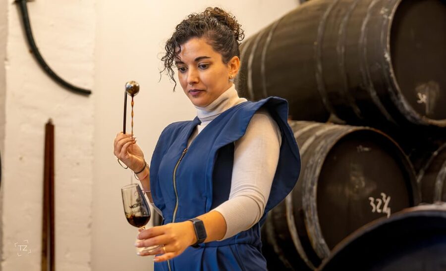 Jerez: Bodegas Álvaro Domecq Guided Tour with Wine Tasting - Price and value: what $26 buys you in real-world terms