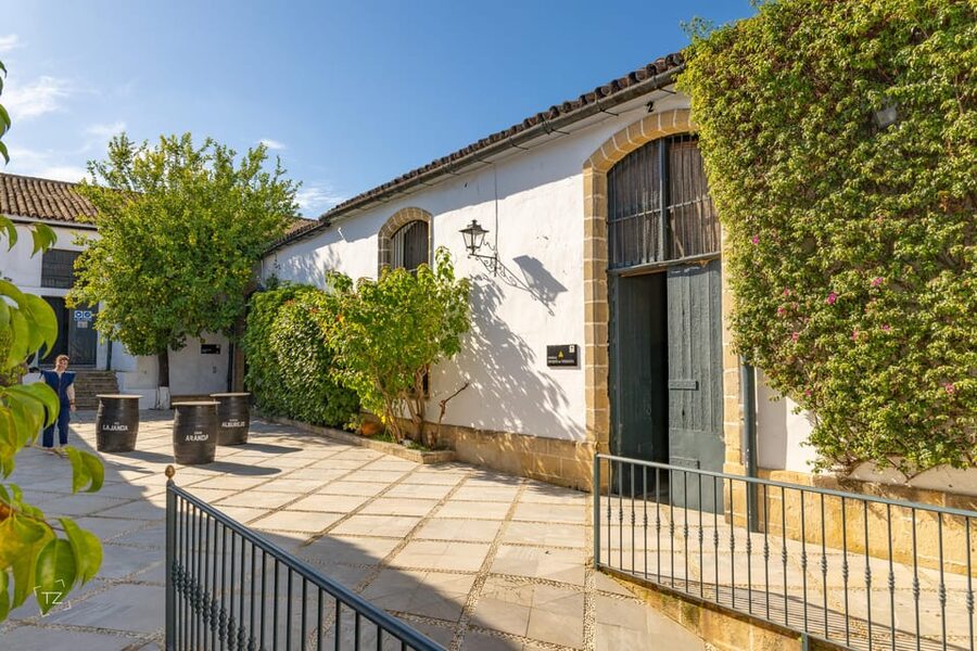 Jerez: Bodegas Álvaro Domecq Guided Tour with Wine Tasting - Should you book this Alvaro Domecq wine tasting tour?