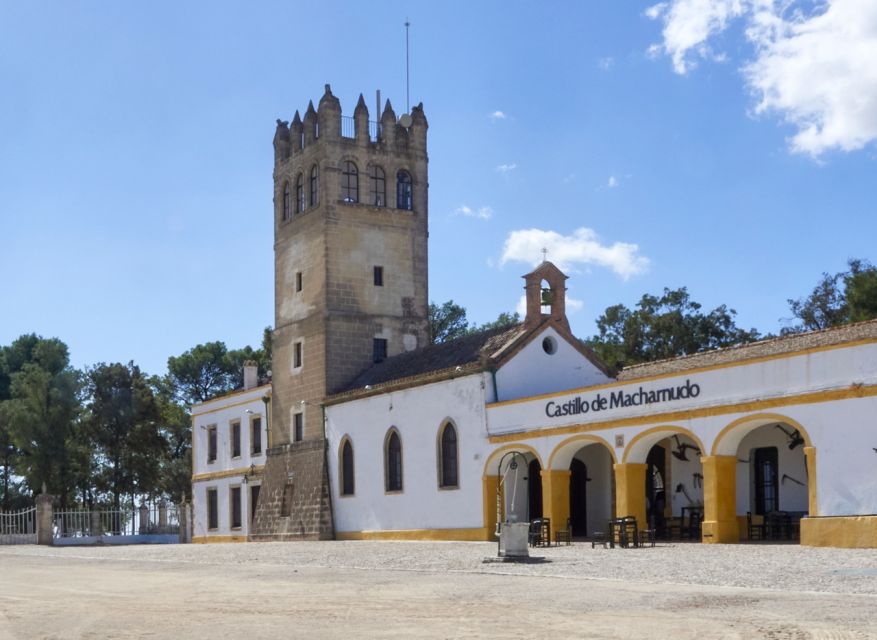 Jerez: Bodegas Fundador Guided Tour with Tasting Session - Key highlights you should care about