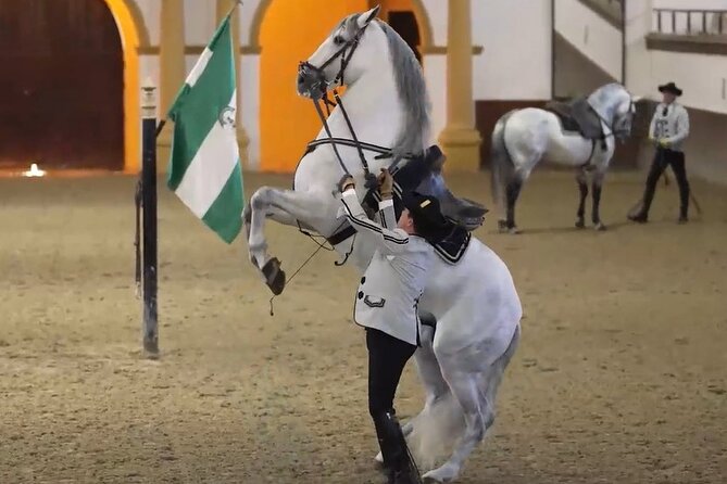 Jerez & Cadiz Winery with Tasting & Opt Horse Show from Seville - Key things to know before you go