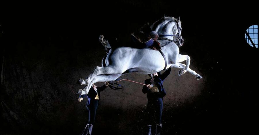 Jerez de la Frontera: Andalusian Horse Dance and Museums - Your half-day schedule, film before 11, museums until early afternoon, show 12:00 to 1:30