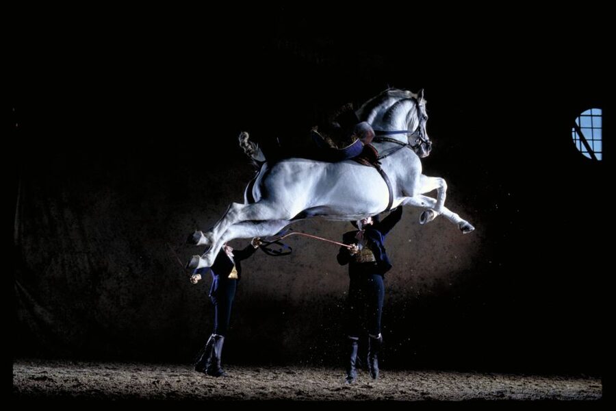 Jerez de la Frontera: Andalusian Horse Dance and Museums - Inside the Visitor Reception Centre and the Art Equestrian Museum (11 rooms of horse art, tack, and practice)