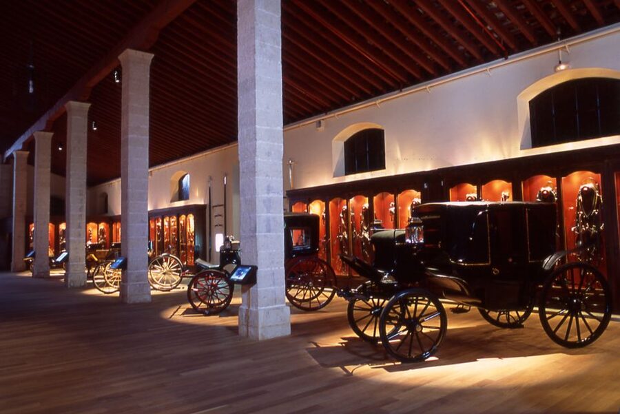Jerez de la Frontera: Andalusian Horse Dance and Museums - Price and value: why $38 can feel fair for this much horse content