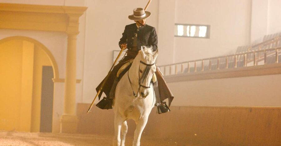 Jerez de la Frontera: How the Andalusian Horses Dance - Horses dancing at the Royal Andalusian School, not a random arena show