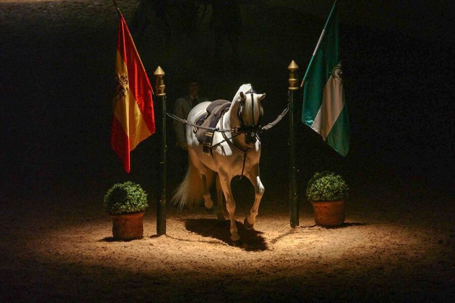 Jerez de la Frontera: How the Andalusian Horses Dance - Watching horses in motion: carriage driving and the wow factor