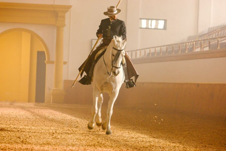 Jerez de la Frontera: How the Andalusian Horses Dance - The carrousel finale and why the group matters