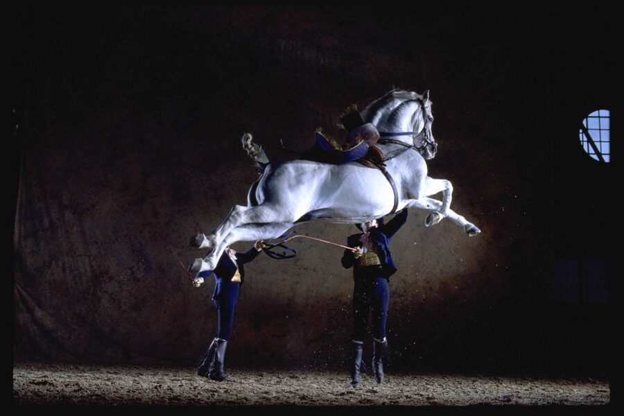 Jerez de la Frontera: How the Andalusian Horses Dance - Seating strategy when you can’t pick your row
