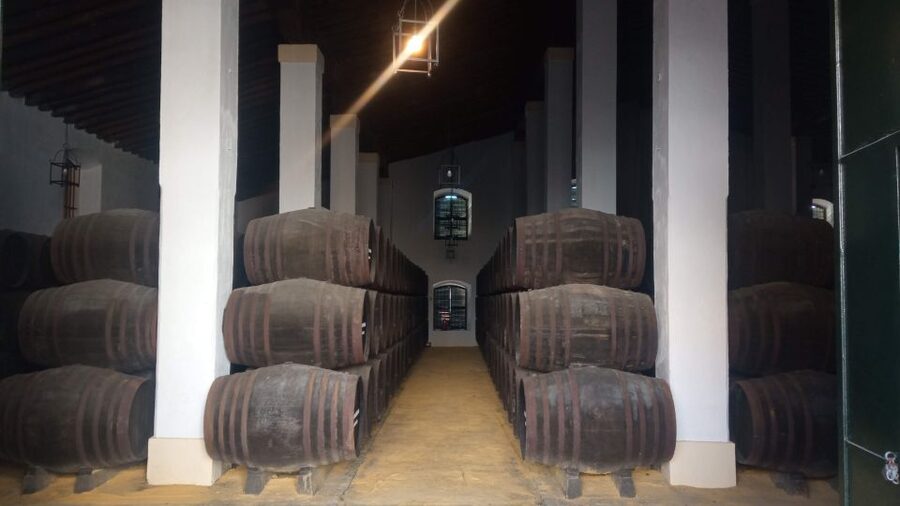 Jerez de la Frontera: Sherry Winery Tour with Tasting - The visitor center walkthrough: how sherry becomes understandable