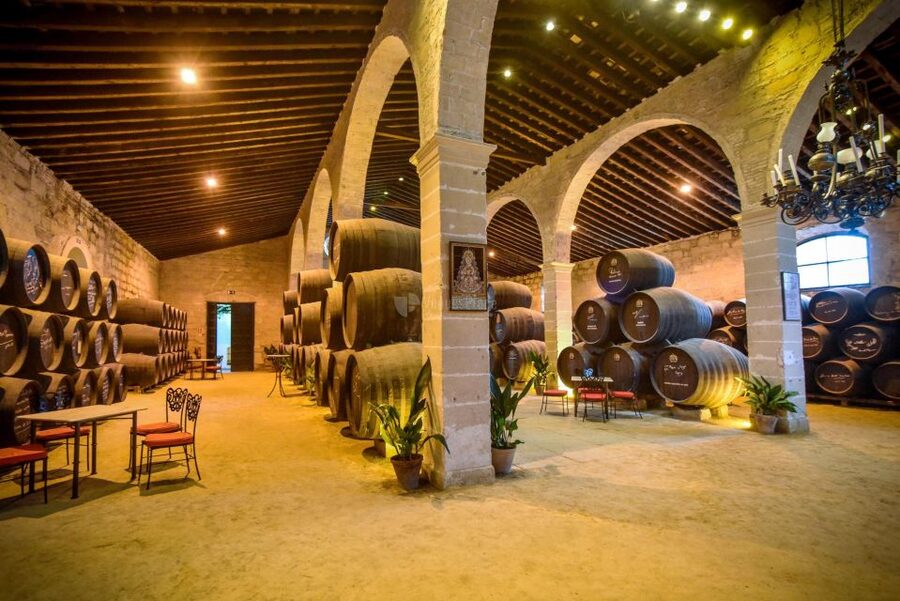 Jerez: Guided Winery Tour with Wine Tasting - The tasting: two wines, appetizers, and real food pair advice