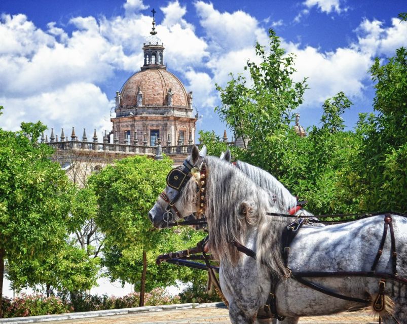 Jerez: Historic Center Guided Tour - The Alcázar wall: defense and power you can still read