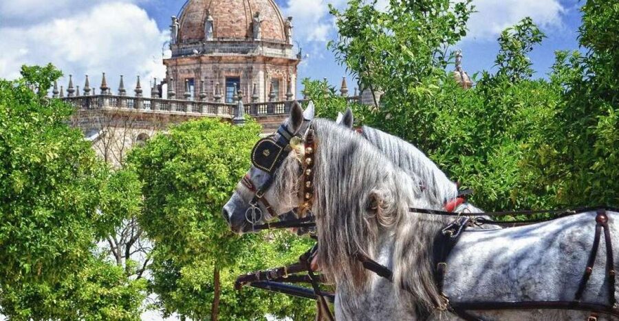 Jerez: Historic Center Guided Tour - San Miguel: Gothic lines and typical streets that set the mood