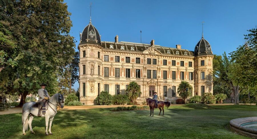 Jerez: Royal Andalusian School of Equestrian Art Admission - Where to start at the Royal Andalusian School, and how the day flows