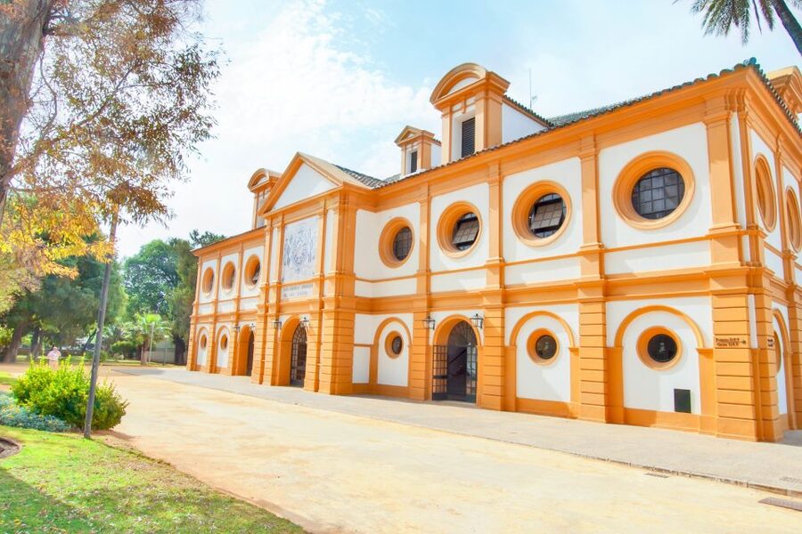 Jerez: Royal Andalusian School of Equestrian Art Admission - Reception and the 11:00 AM equestrian art presentation