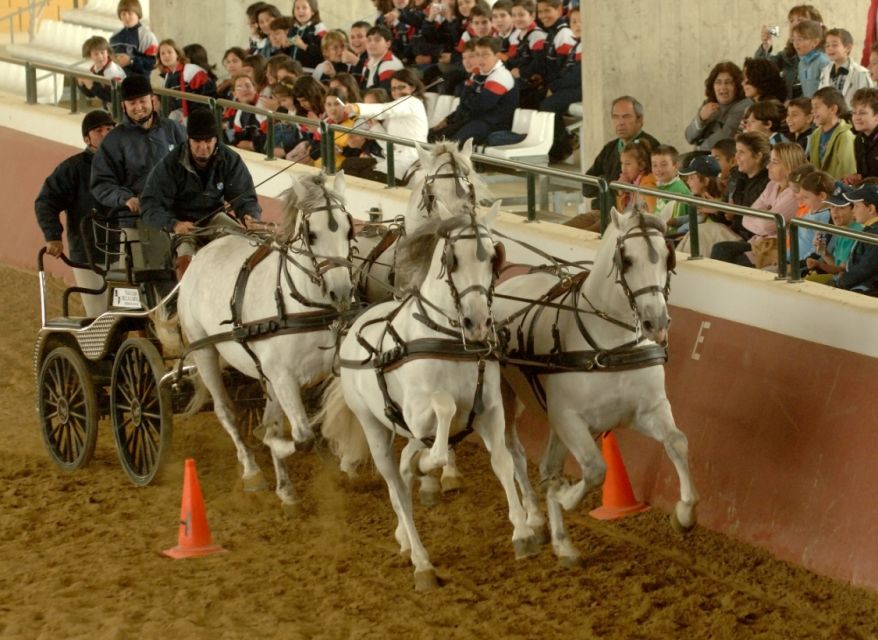 Jerez: Yeguada de la Cartuja Carthusian Horses Tour - Guided Farm Tour: Horses at Work, Horses at Rest, Horses Growing Up