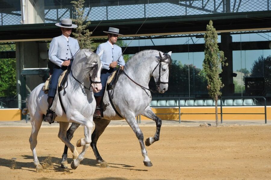 Jerez: Yeguada de la Cartuja Carthusian Horses Tour - Guides Matter: When the Explanation Is Part of the Fun