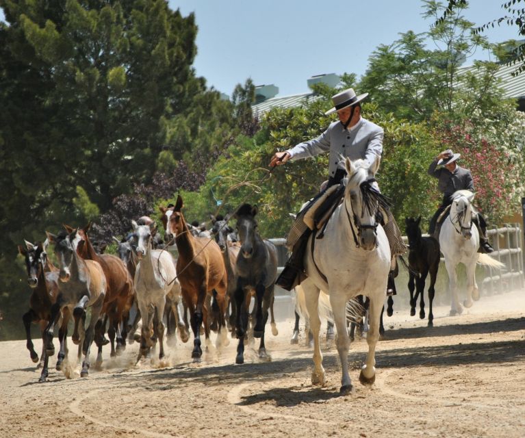 Jerez: Yeguada de la Cartuja Carthusian Horses Tour - Who This Tour Is Best For (and Who Might Skip It)