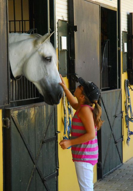 Jerez: Yeguada de la Cartuja Carthusian Horses Tour - Value for Money: Why About $22 Feels Fair Here