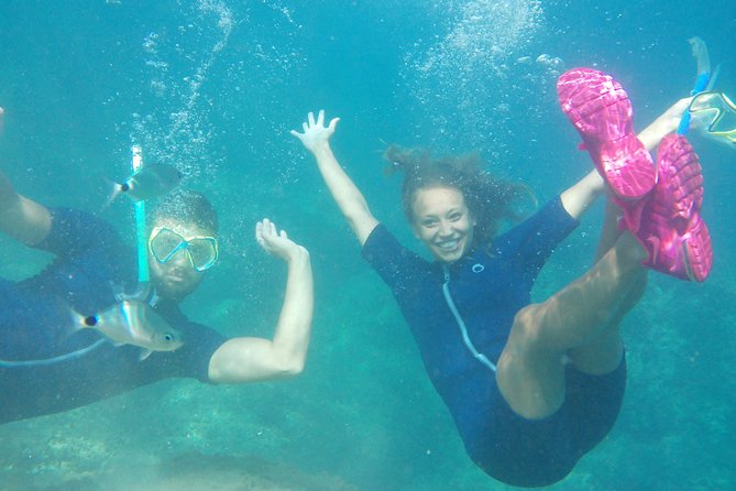 Kayak and snorkel excursion to Cova Tallada - Where you start near Dénia, and how the timing feels