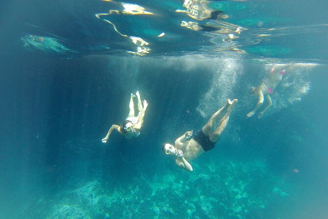 Kayak and Snorkeling Excursion in Maro Cerro Gordo Cliffs - Snorkeling expectations: what you get and how to maximize it