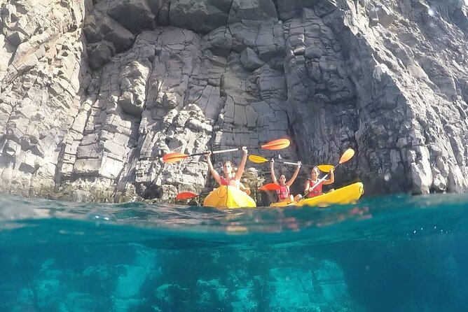 Kayak Safari with Dolphin and Turtle Watching in Guaza - Wildlife Spotting: Dolphins and Turtles Are the Big Lottery