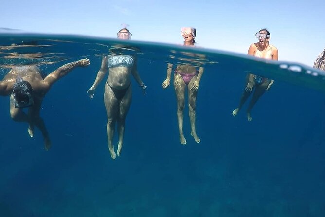 Kayak Safari with Dolphin and Turtle Watching in Guaza - Snorkeling Gear Included, But Here’s What to Expect Underwater