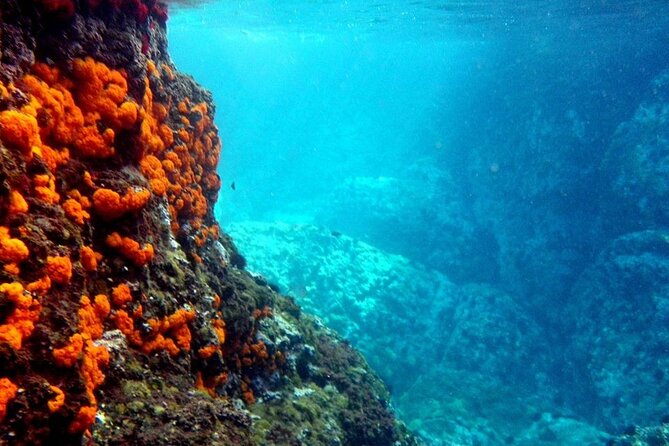 Kayak & Snorkel Tour in Cerro Gordo Natural Park, La Herradura - Key things to know before you go