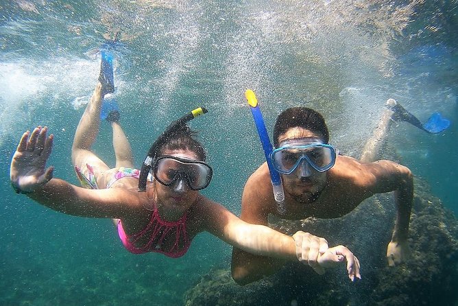 Kayak & Snorkel Tour in Cerro Gordo Natural Park, La Herradura - La Herradura to Cerro Gordo: cliffs and caves you only see from sea level