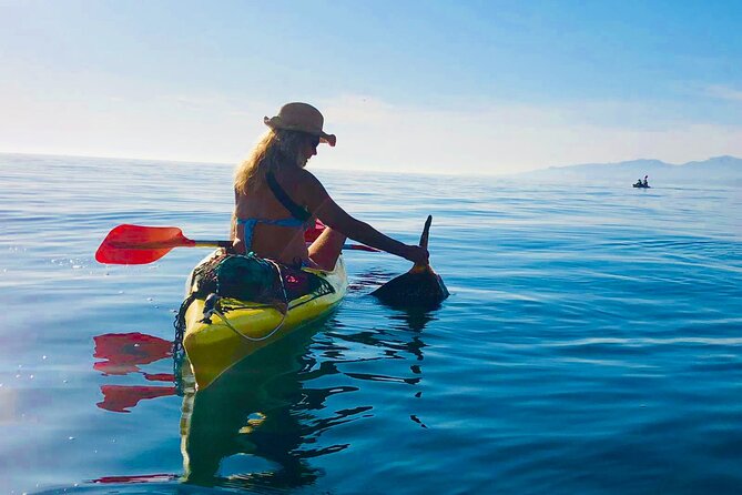 Kayak & Snorkel Tour in Cerro Gordo Natural Park, La Herradura - Wildlife and coral: what you can realistically expect