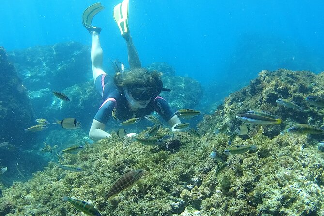 Kayak & Snorkel Tour in Cerro Gordo Natural Park, La Herradura - Comfort, support, and the small-group feel