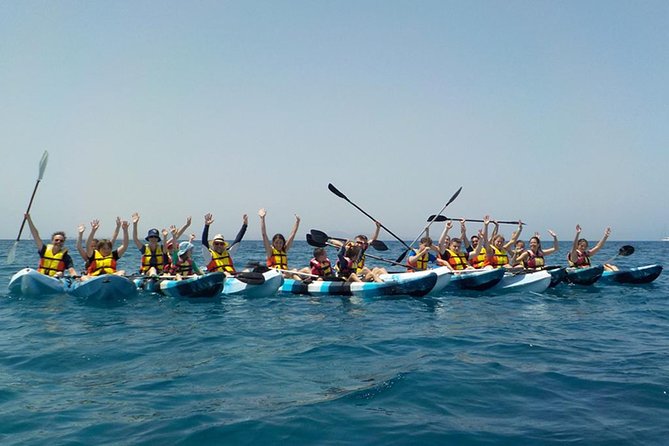 Kayak & Snorkelling in Papagayo - The Playa de Papagayo Snorkel Stop: Fish, Rocks, and Wave Timing