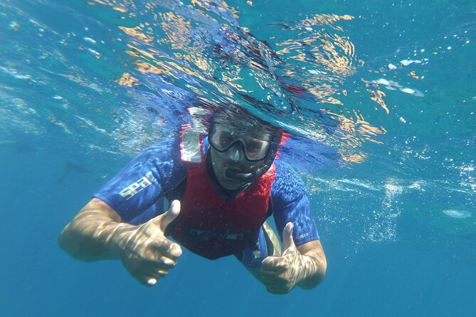 Kayaking + snorkeling with turtles - The route, timing, and what fills your two-hour window