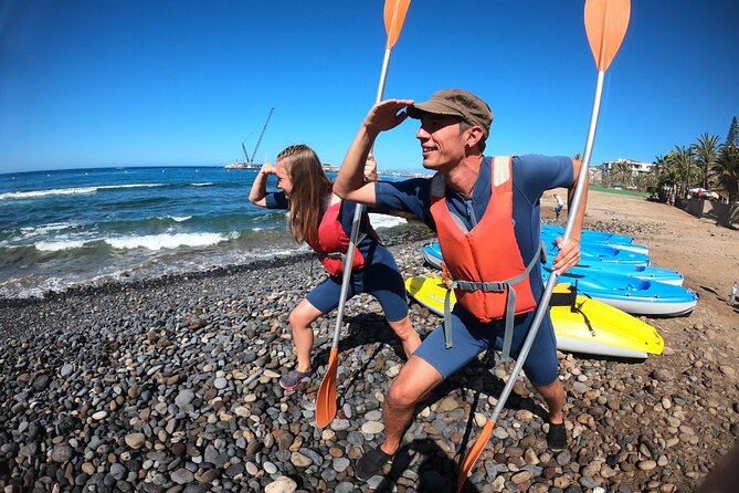 Kayaking + snorkeling with turtles - Dolphins on the route, and how to think about sightings
