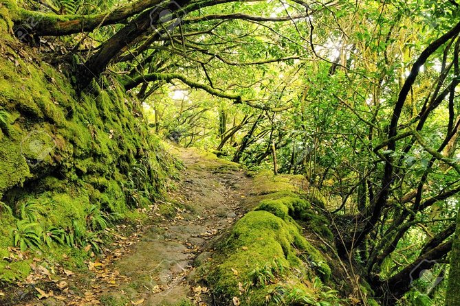 La Gomera Day Trip from Tenerife - The Witches Legend Stop and Roque de Agando’s Bold Silhouette