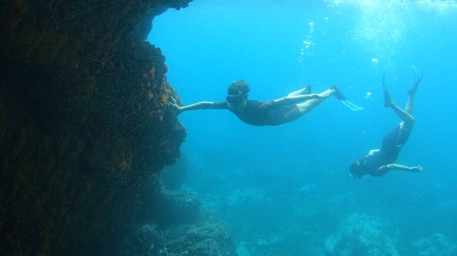 La Herradura: Cerro Gordo Natural Park Kayak & Snorkel Tour - Wildlife you might spot, and how to watch without messing things up