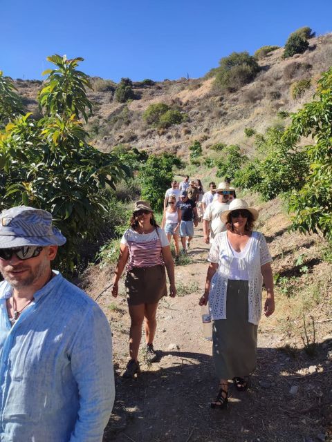 La Herradura Coffee Farm: tour in Europe's only plantation - Europe’s only coffee farm, tucked near La Herradura beach
