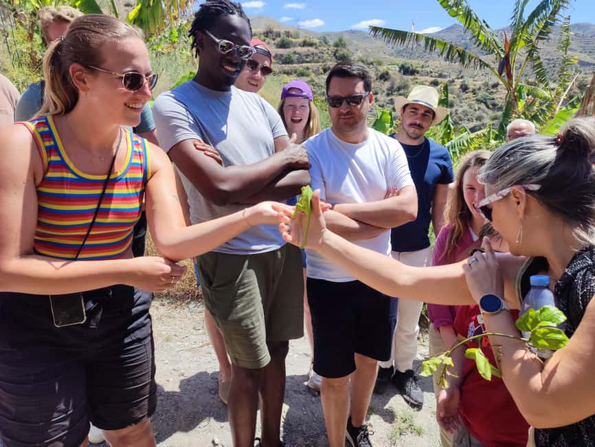 La Herradura Coffee Farm: tour in Europe's only plantation - End at the 300-year-old cortijo: buy fruit and roasted coffee