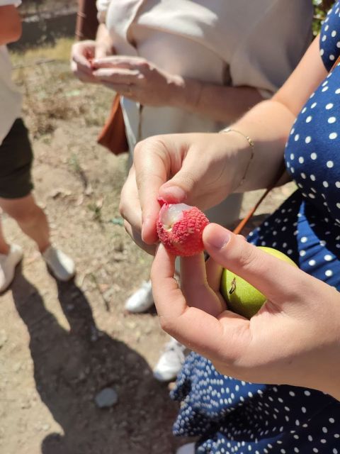 La Herradura Coffee Farm: tour in Europe's only plantation - Practical tips so your visit goes smoothly