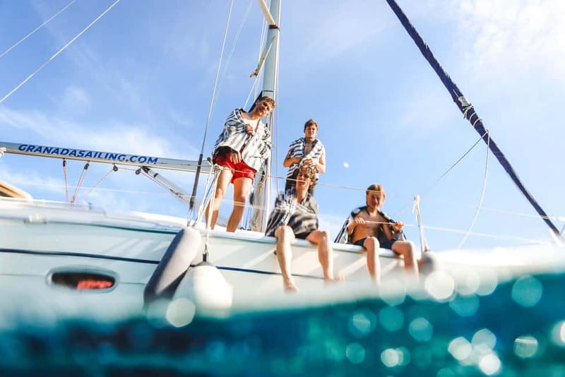 La Herradura: Sailing with a view of dolphins - Dolphins on this route, what you can and cannot expect